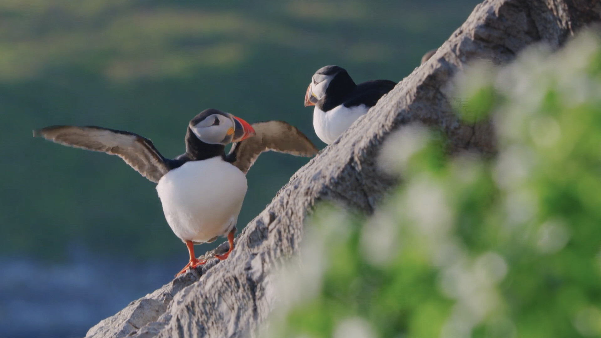 Tarinoita tuntureilta (S)