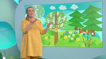 Yle TV2