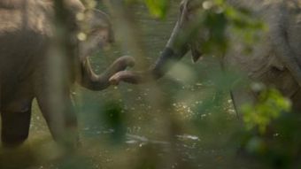 National Geographic