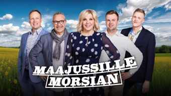 MTV3