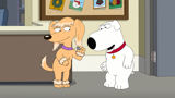 Family Guy