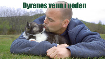 Yle TV2