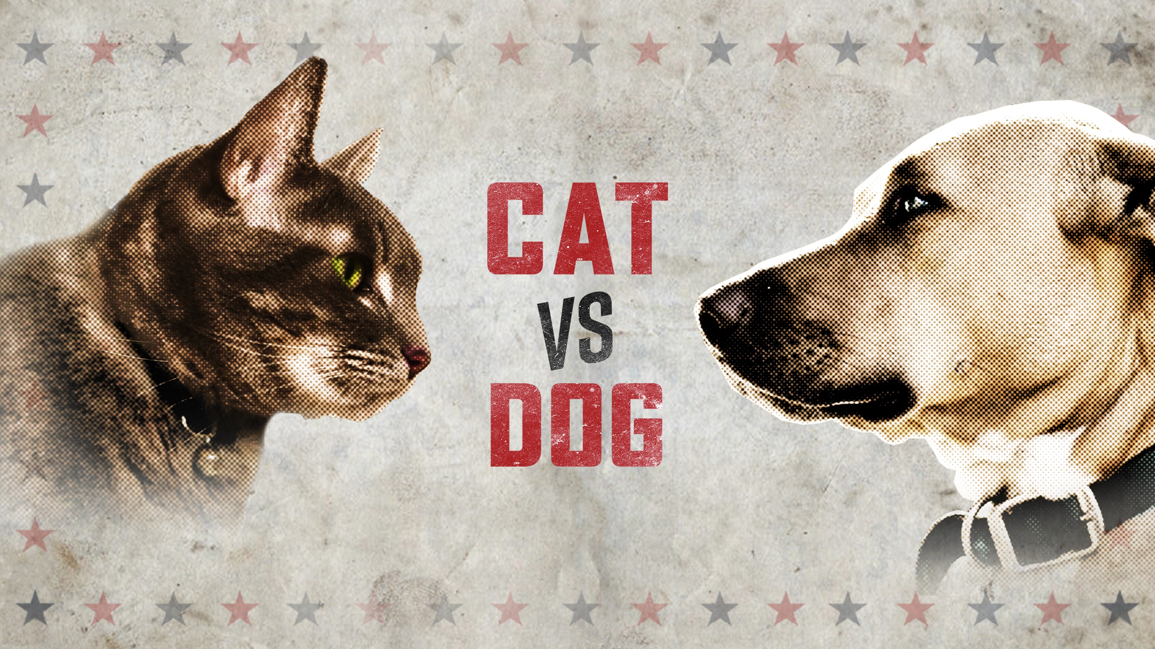 Kissa ja koira vastakkain