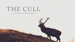 The Cull: Scotland's Deer Dilemma