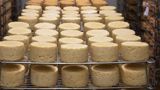 Food Factory USA