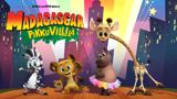 Madagascar: Pikkuvillilä (S)