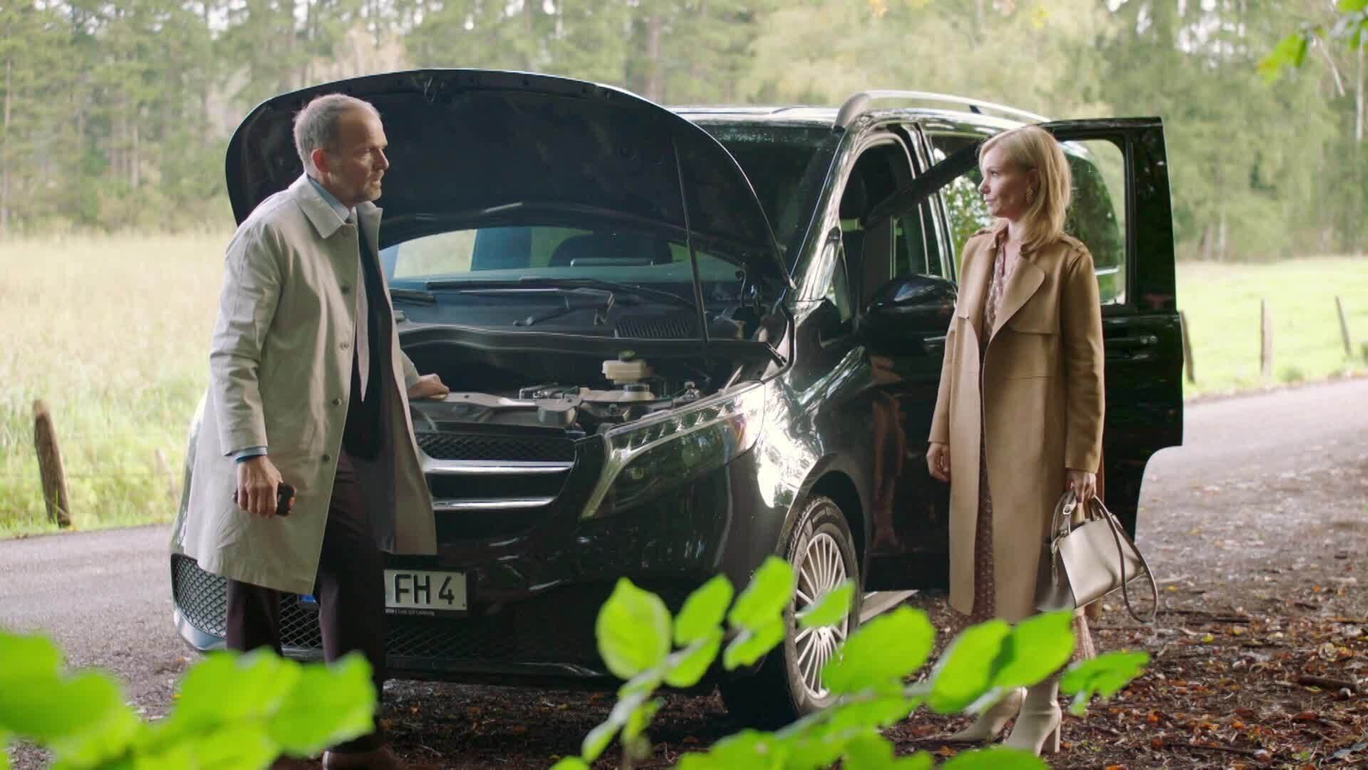 Lemmen viemää
