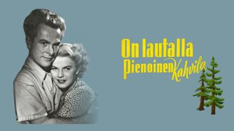 Yle TV1