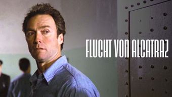 MTV Ava