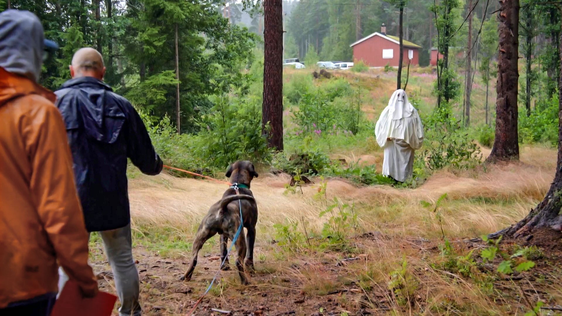 Koiraperheet käytöskoulussa
