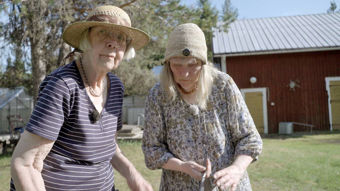 Yle Teema & Fem