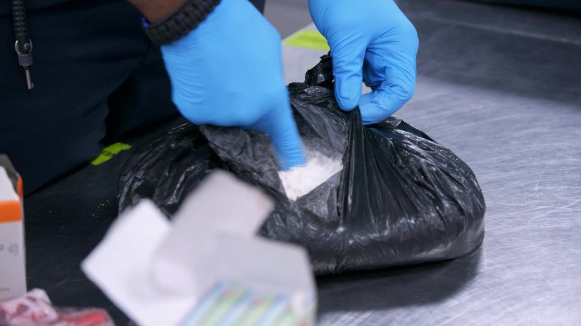 Salakuljettajat satimeen