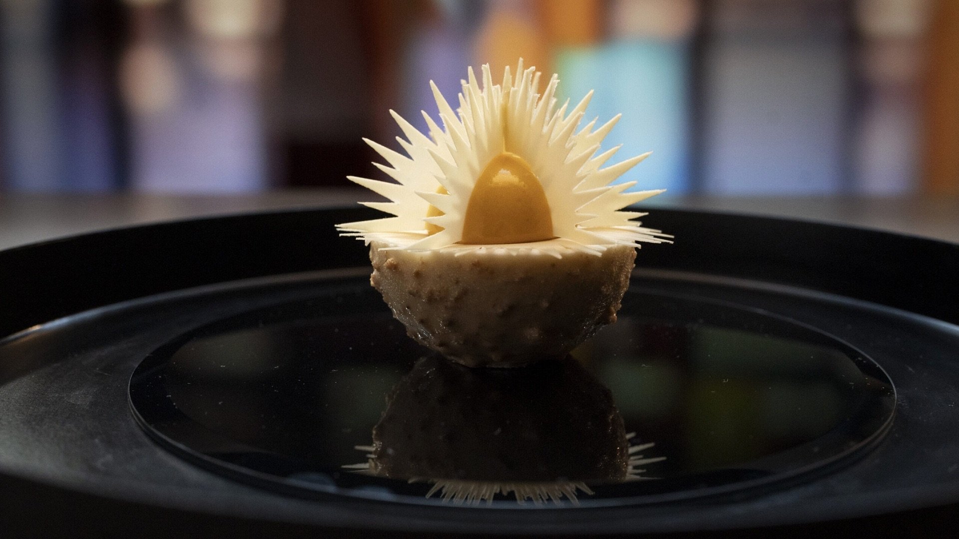 MasterChef Australia