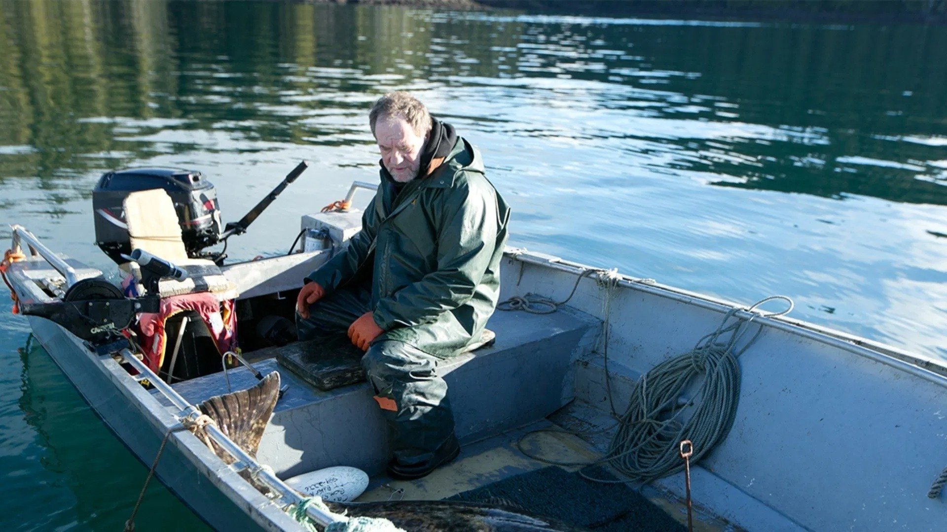 Saari ilman lakeja