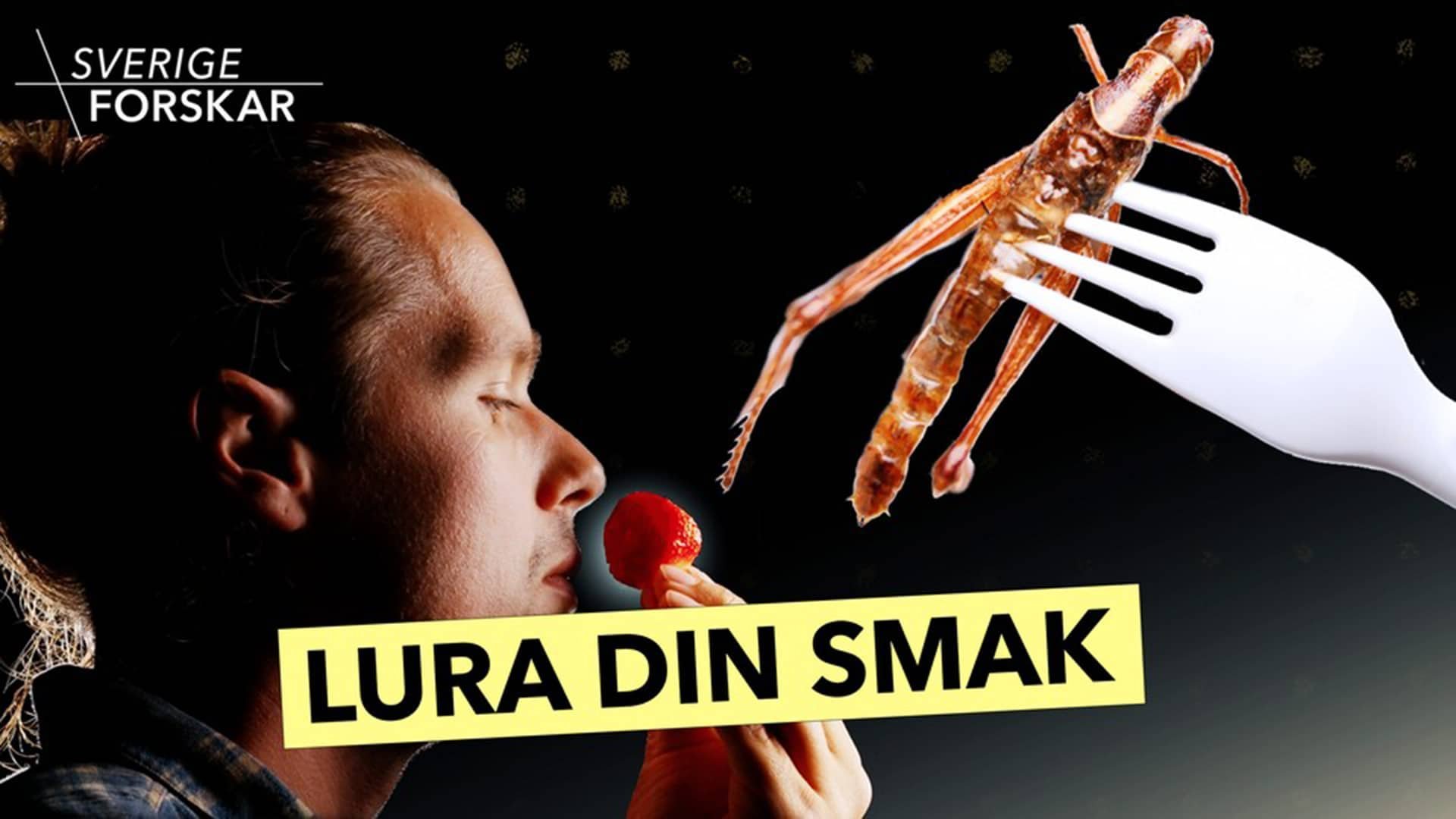 Ruotsi tutkii