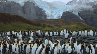 Viasat Nature HD