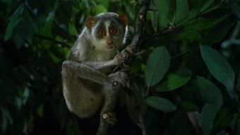 National Geographic