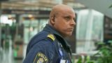 Ruotsin rajavartijat