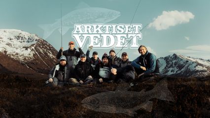 Arktiset vedet