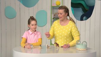Yle TV2