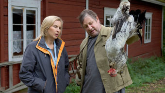 Yle TV2