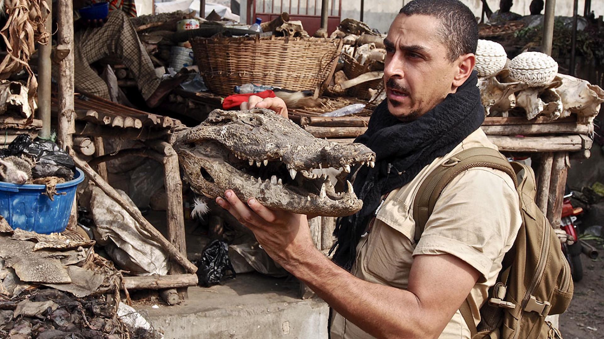 Arman ja viimeinen ristiretki (12)