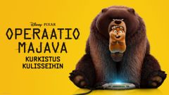 Operaatio Majava | A Special Look