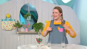 Yle TV2