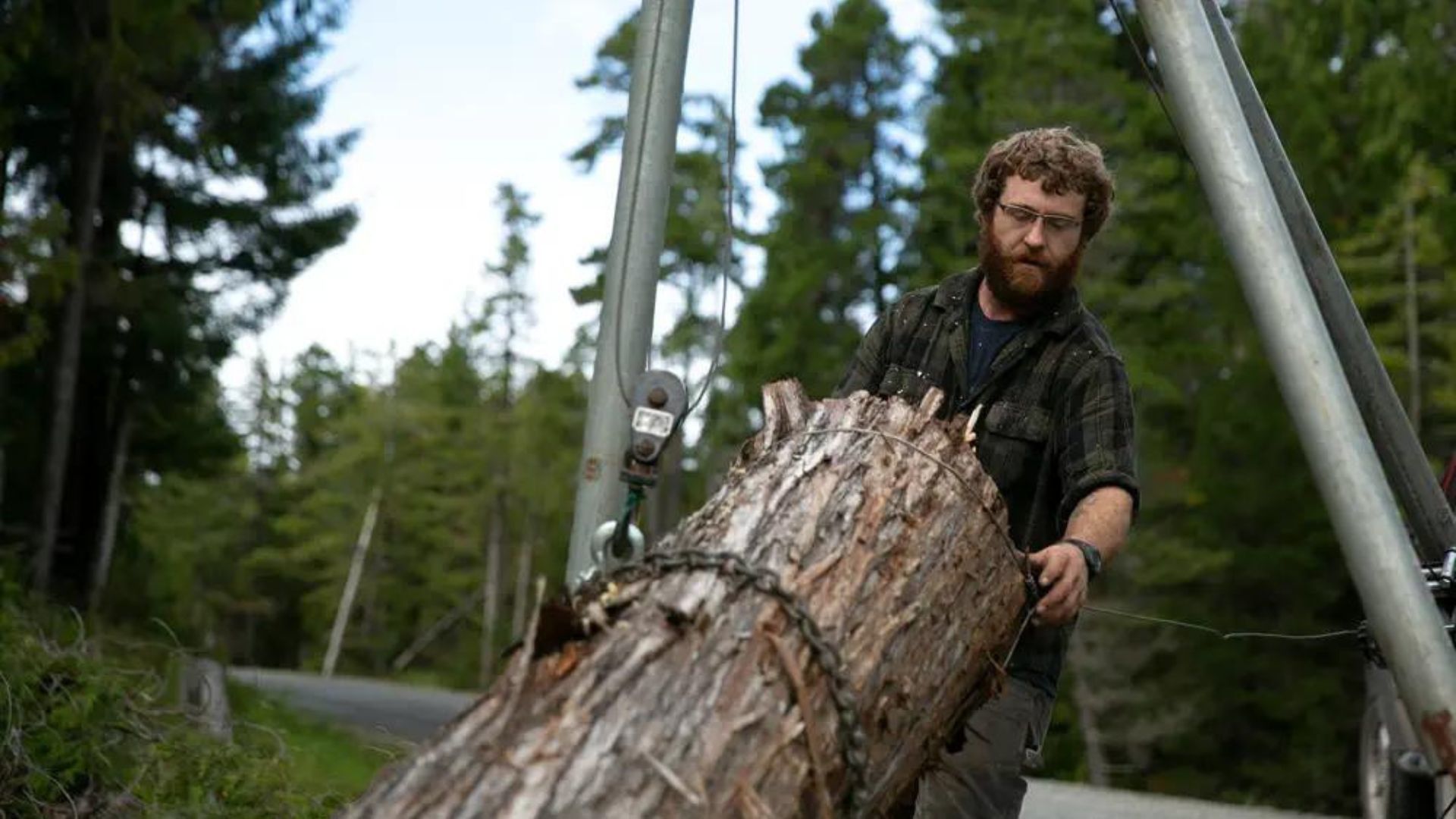Saari ilman lakeja