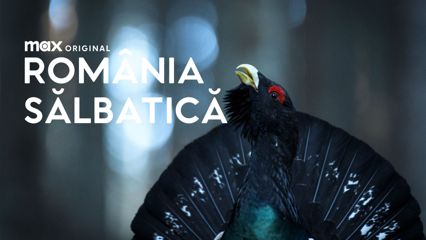 Wild Romania