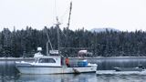 Saari ilman lakeja