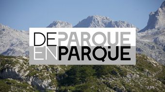 TVE INTERNACIONAL