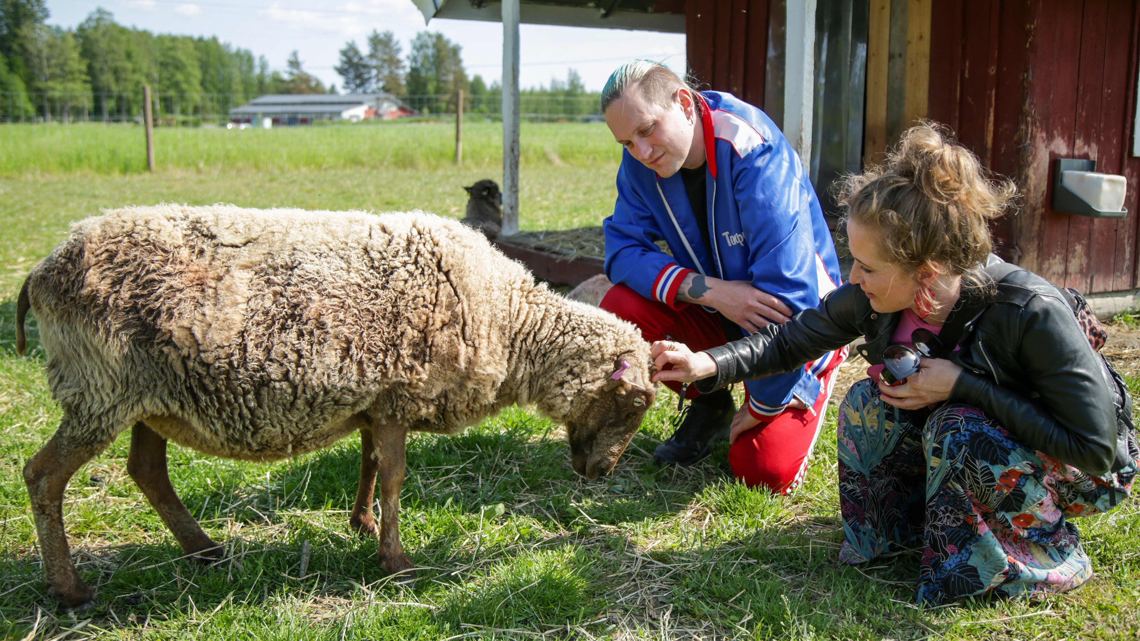 Ensitreffit alttarilla