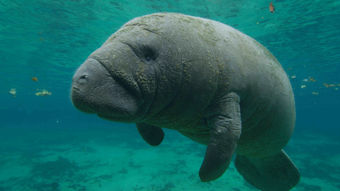 National Geographic