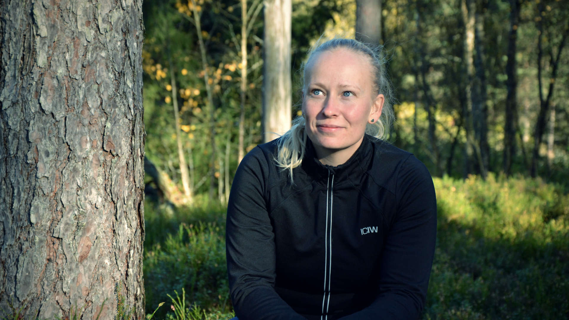 Livet - suomenruotsalaisia tarinoita