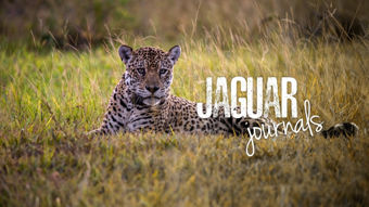 Viasat Nature HD
