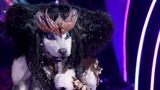 Masked Singer USA