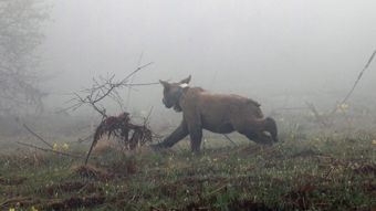 National Geographic