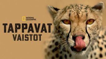 Nat Geo Wild