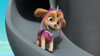 Nick Jr