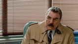 Blue Bloods (12)