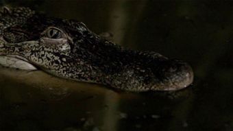 National Geographic