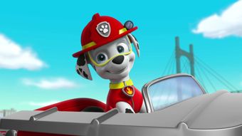 Nick Jr