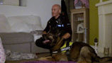 Ultimate Police Interceptors