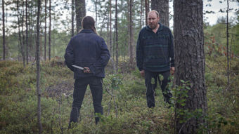 MTV3