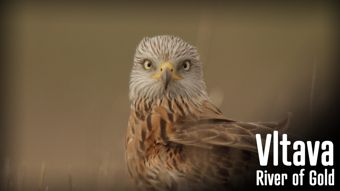Viasat Nature HD