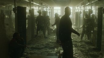 MTV Sub