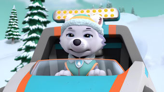 Nick Jr