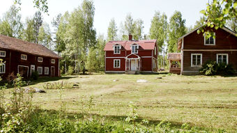 Yle Teema & Fem