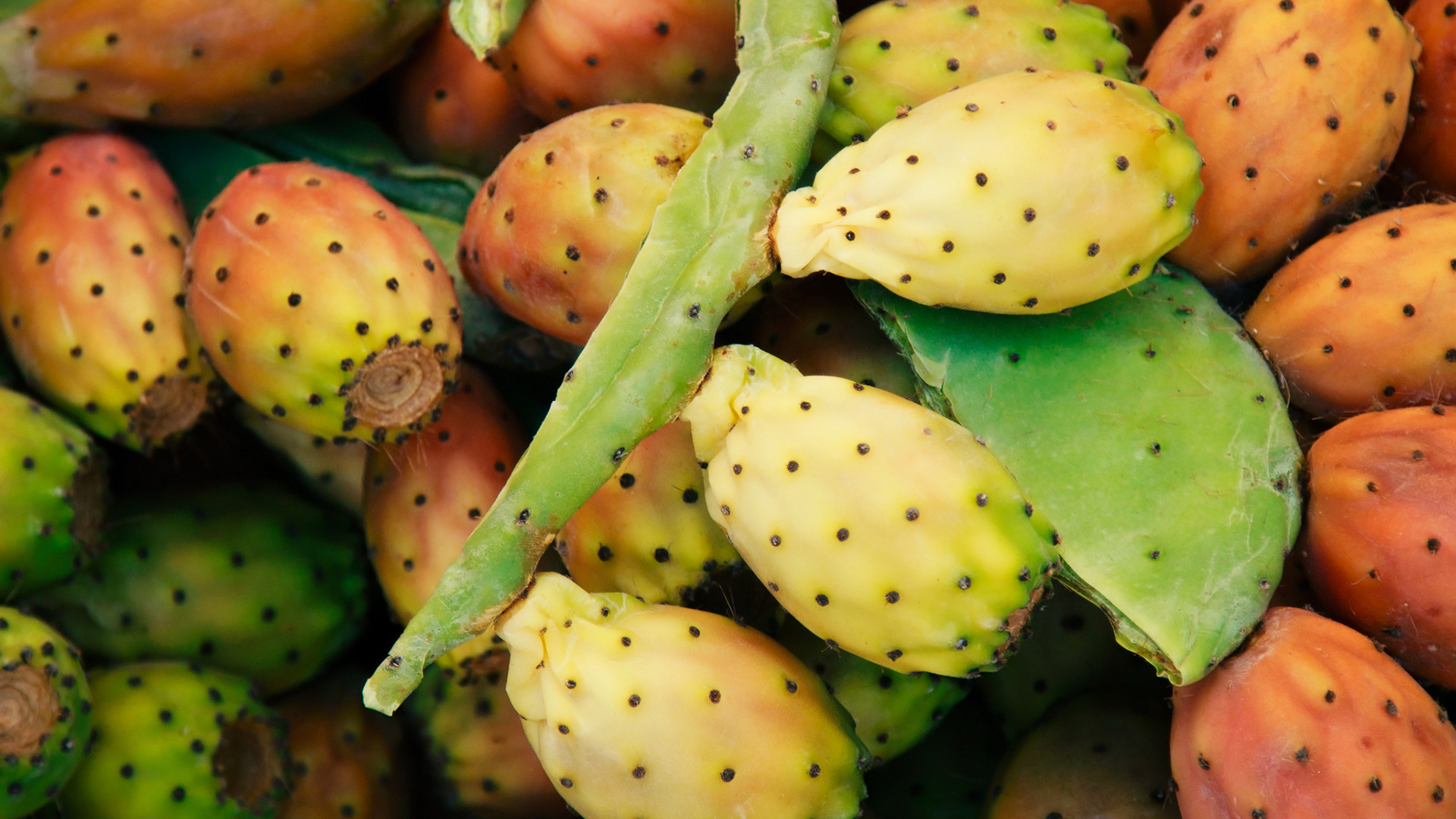 Miten kaikki tehdään?